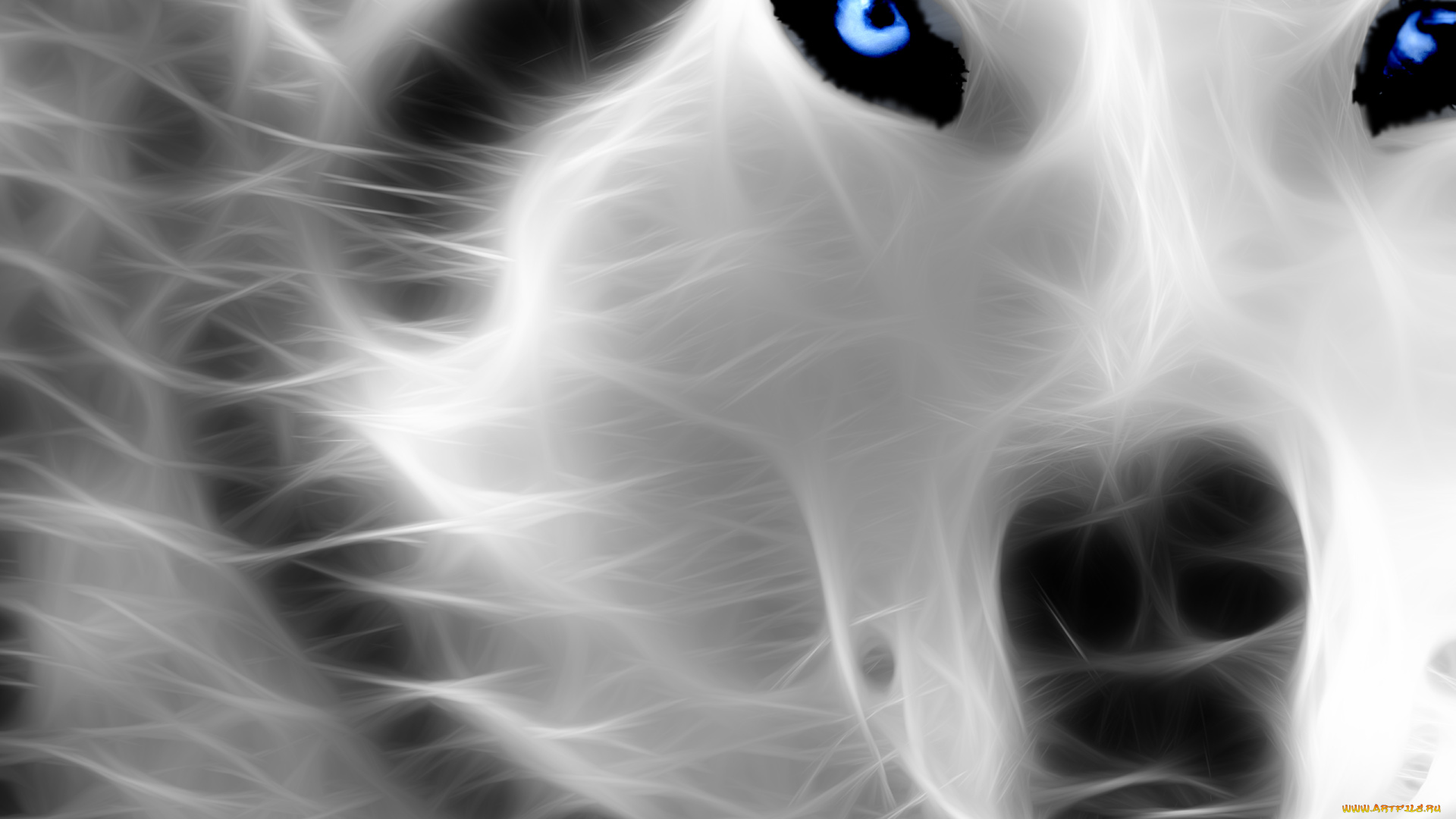 3д, графика, animals, животные, собака