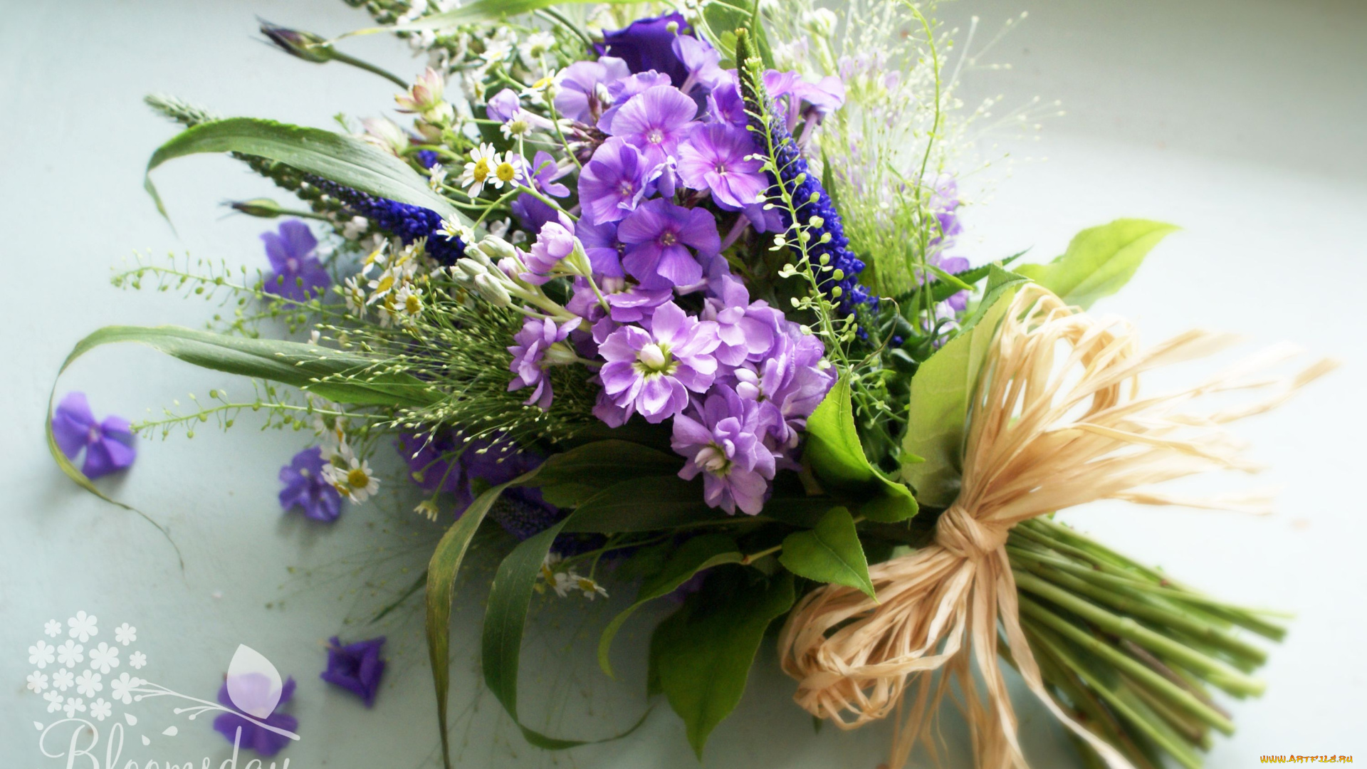 цветы, букеты, композиции, ромашки, флоксы, левкой, бант