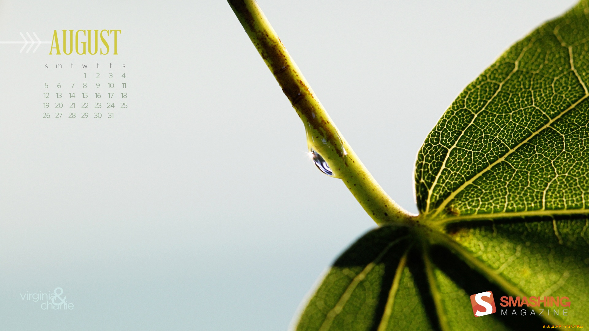 календари, природа, листок, капля