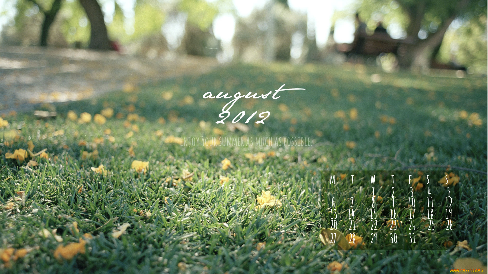 календари, природа, трава