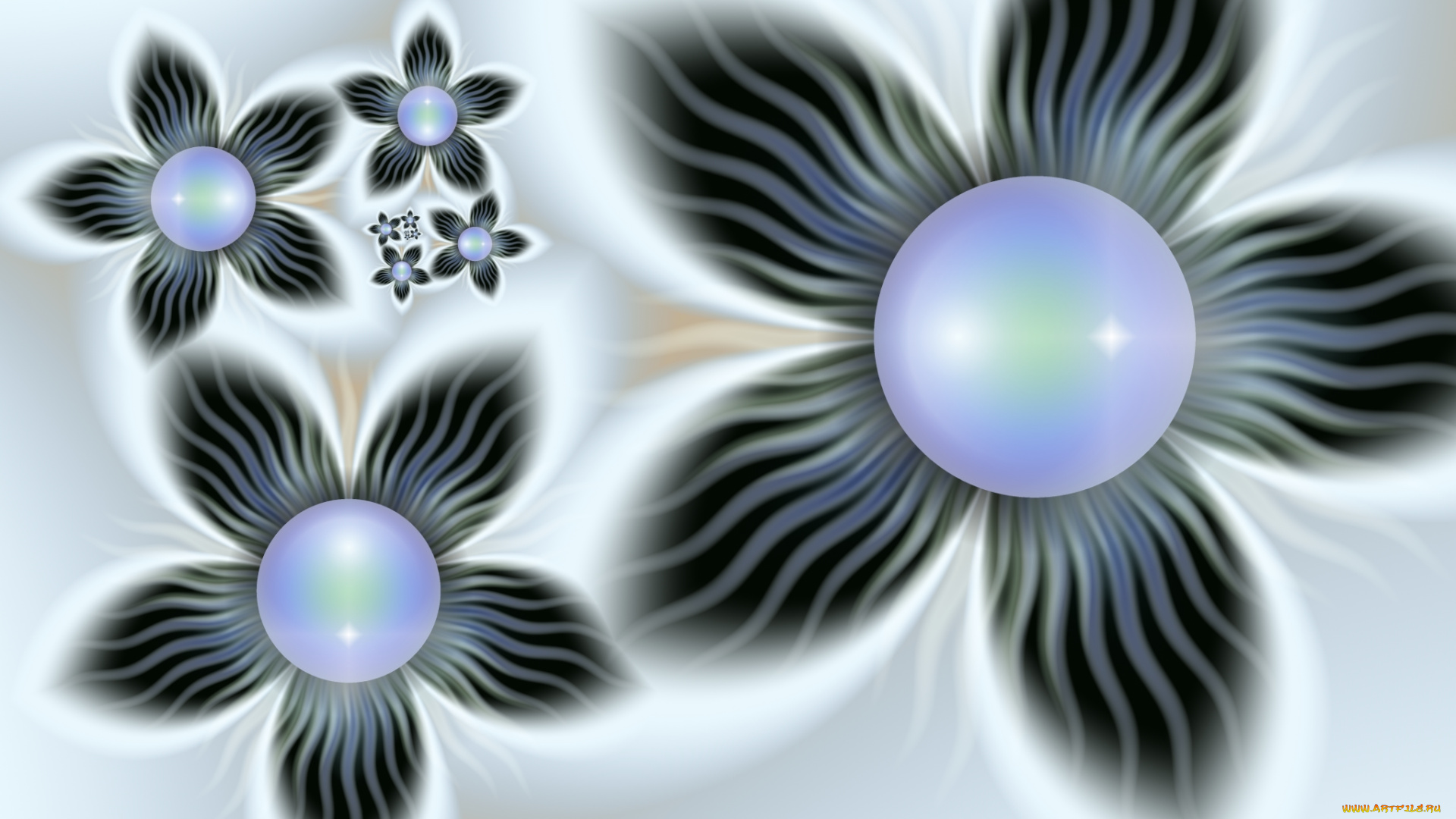 3д, графика, flowers, цветы, узор, фон, цвета