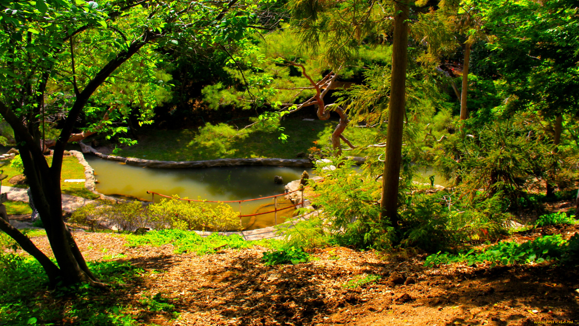 botanical, garden, san, marino, california, природа, парк, деревья, кусты, трава