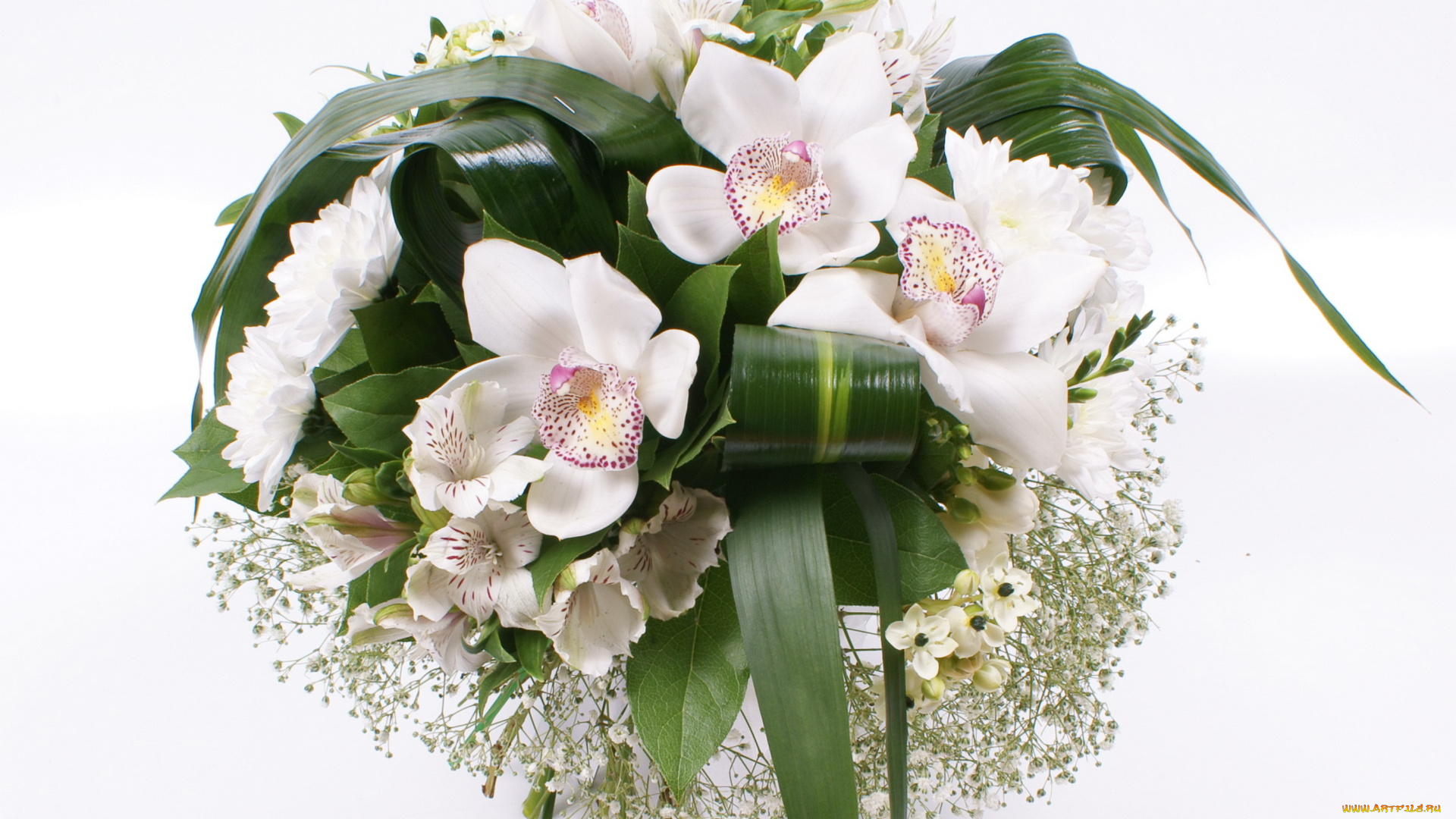 цветы, букеты, композиции, орхидеи, букет