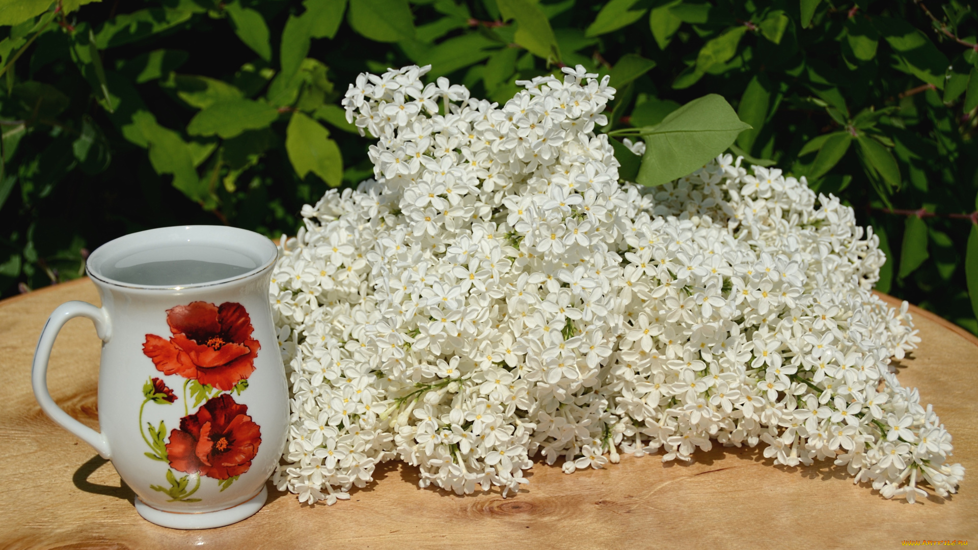 цветы, сирень, чашка, белый