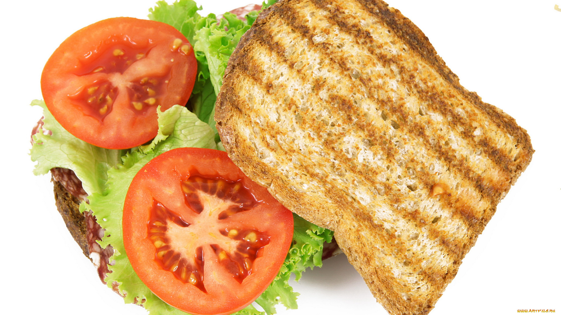 еда, бутерброды, гамбургеры, канапе, помидоры, бутерброд, салат, мясо