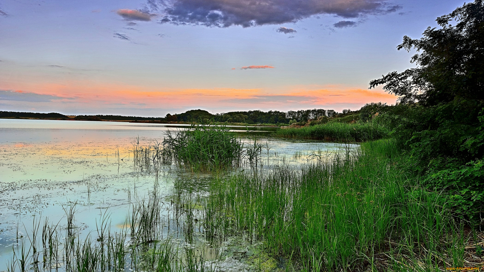 природа, реки, озера, заря, лес, озеро, утро, трава