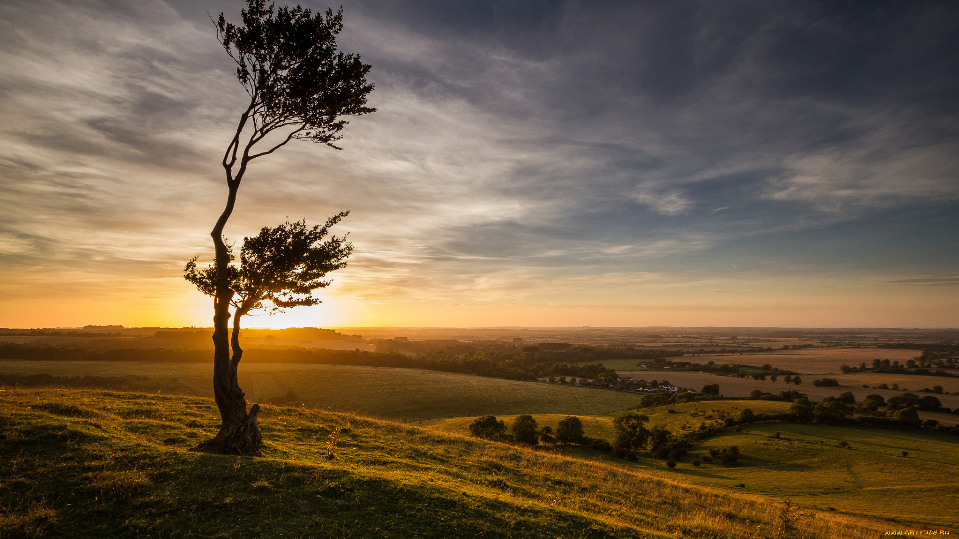 природа, восходы, закаты, англия, закат, дерево, поля