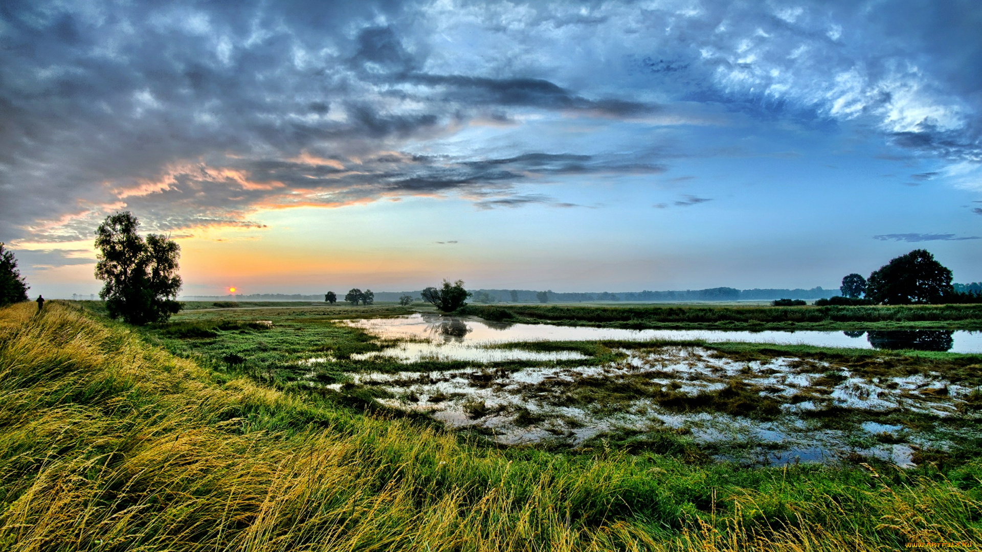 природа, восходы, закаты, облака, вода, трава, поле, горизонт, солнце
