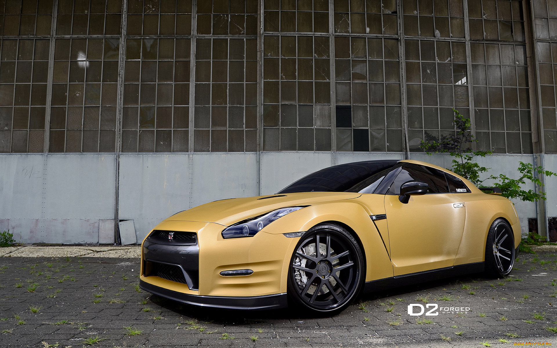 автомобили, nissan, datsun, gt-r, yellow, ares