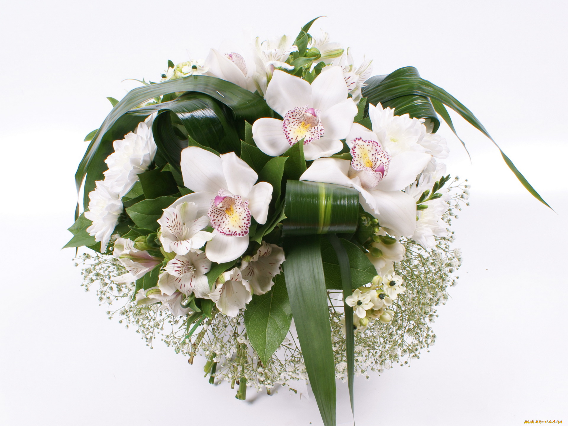 цветы, букеты, композиции, орхидеи, букет