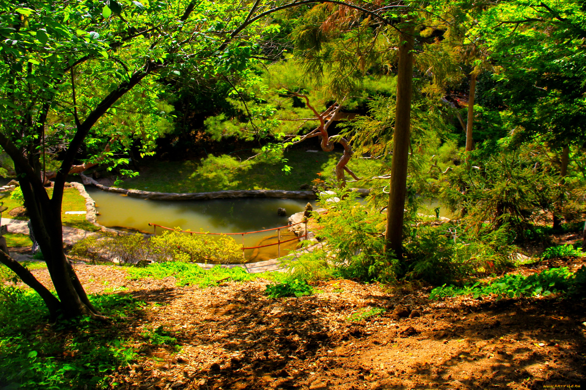 botanical, garden, san, marino, california, природа, парк, деревья, кусты, трава