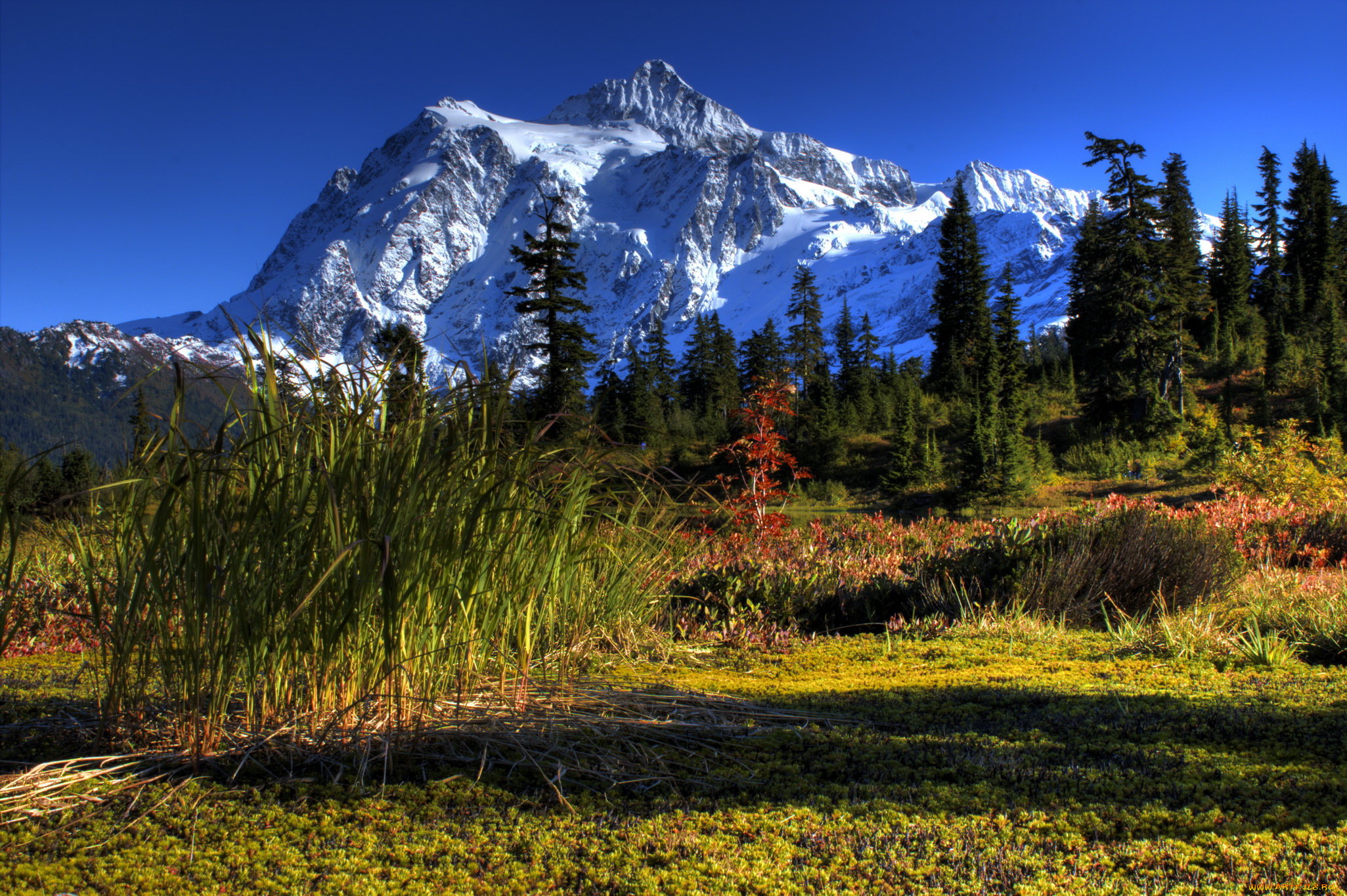 сша, вашингтон, природа, горы, облака, лес