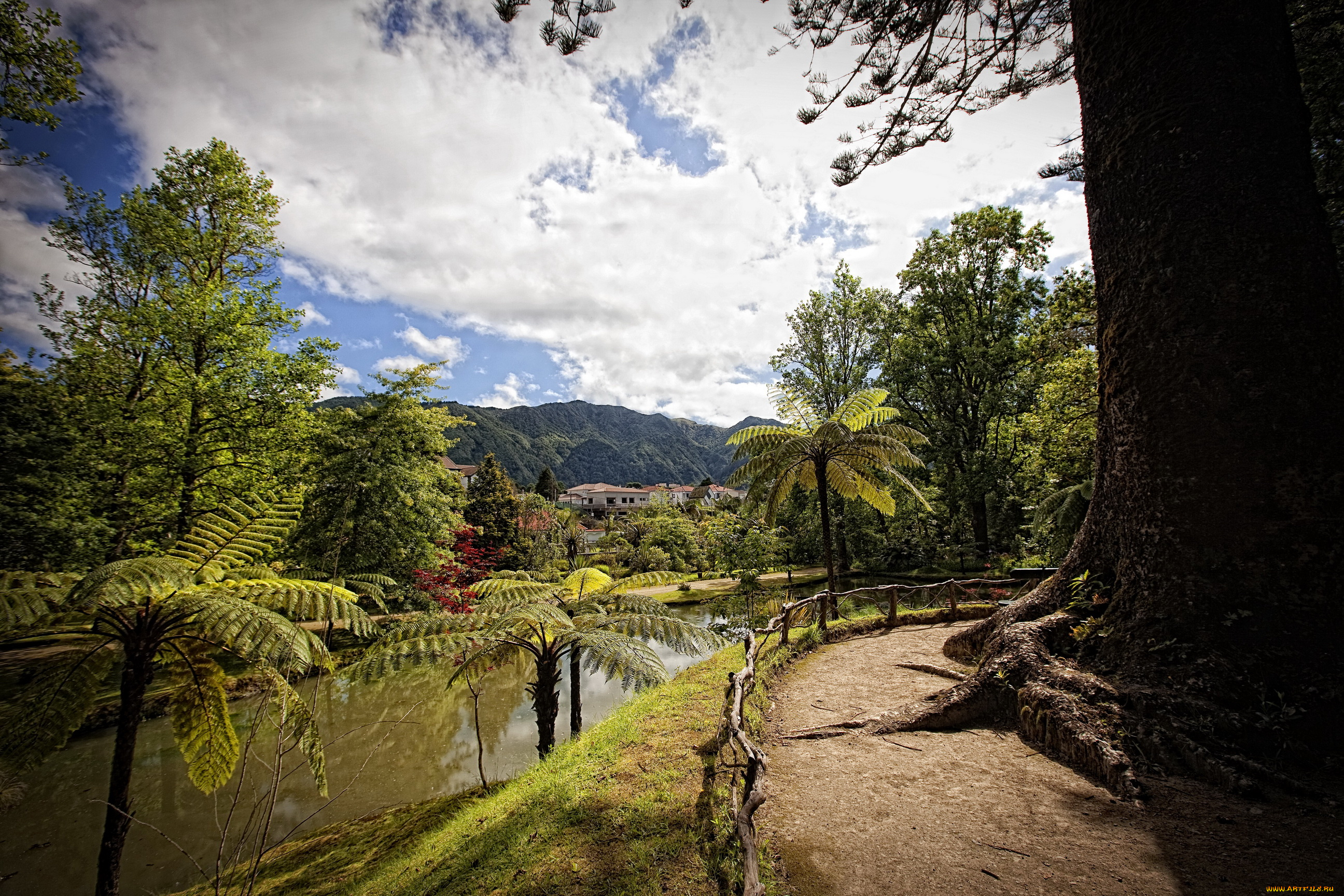 miguel, portugal, природа, реки, озера, дорожка, деревья, река