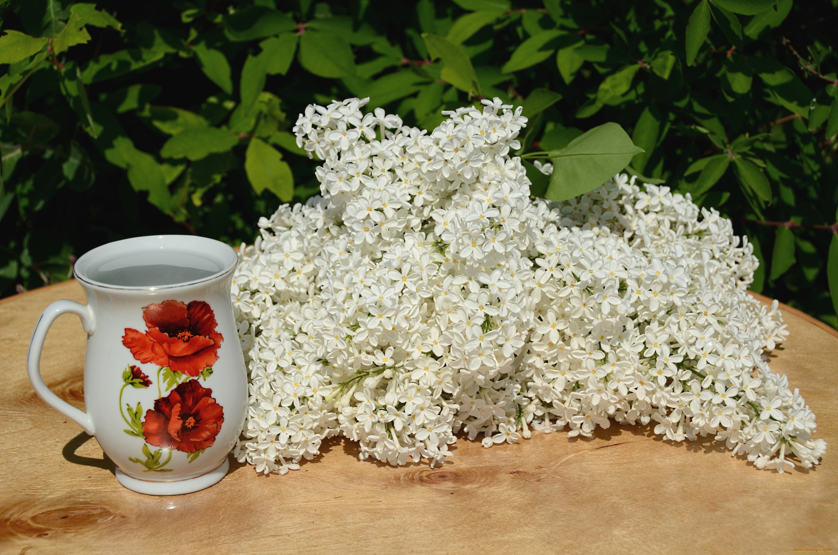 цветы, сирень, чашка, белый