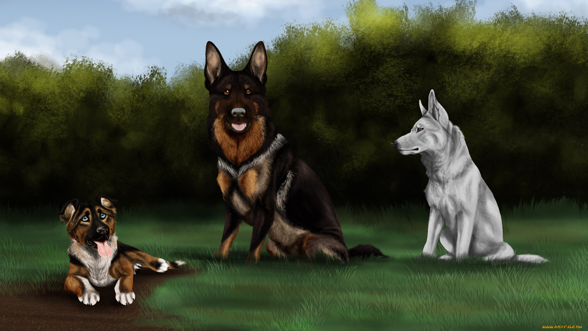 рисованные, животные, , собаки, трава, взгляд, собаки
