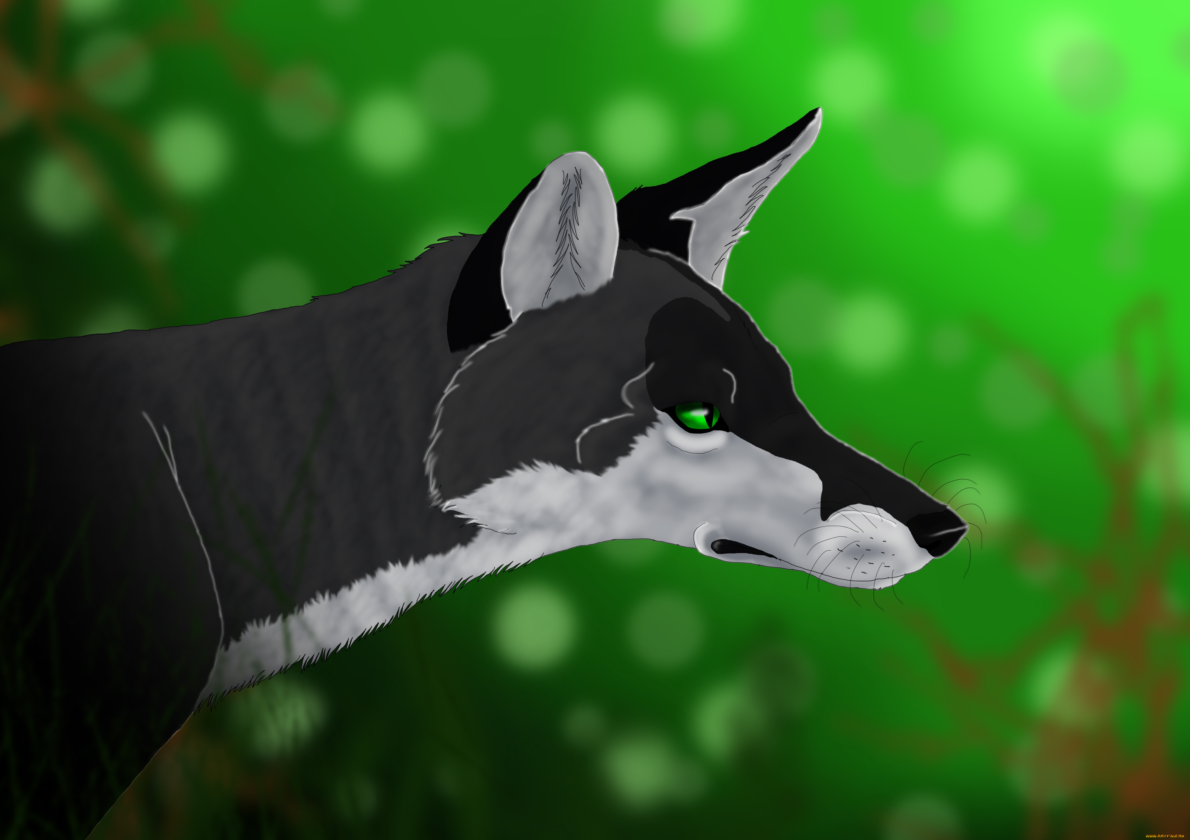 рисованные, животные, , собаки, собака