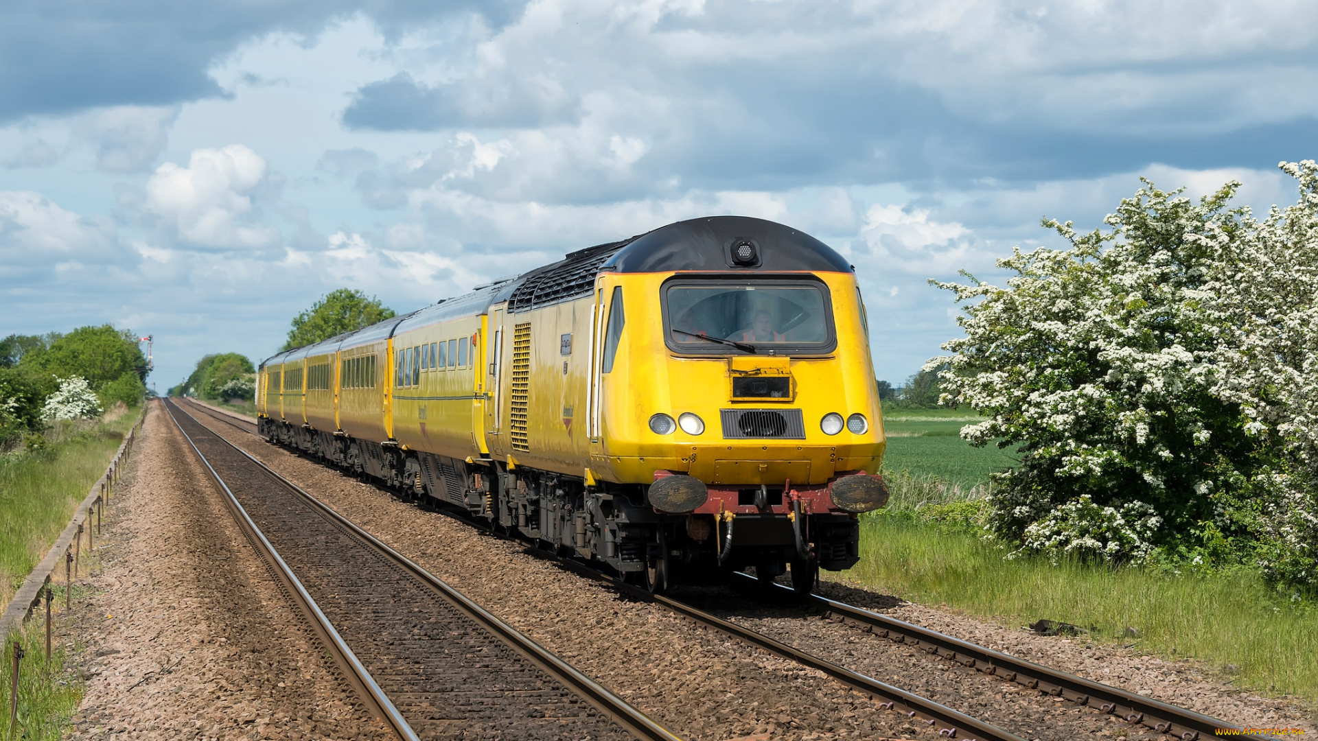 техника, поезда, дорога, железная, рельсы, локомотив, состав