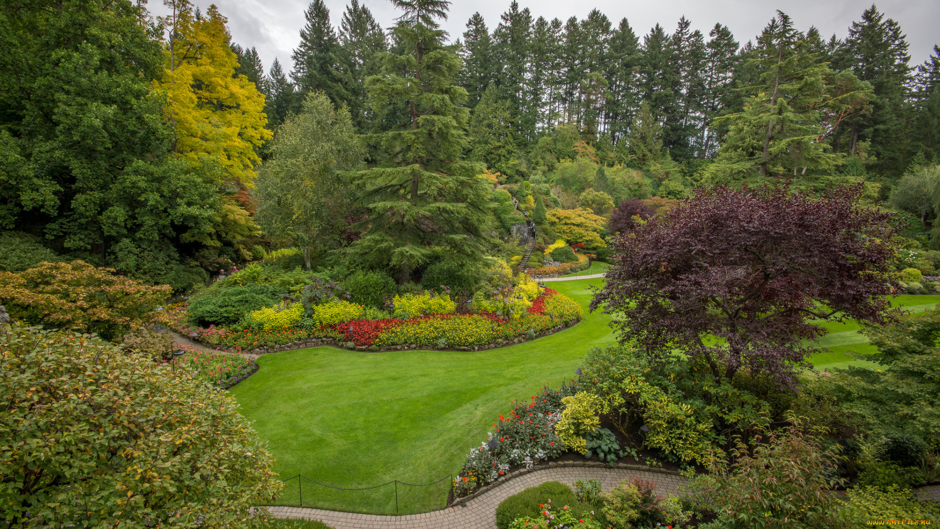 природа, парк, деревья, дорожка