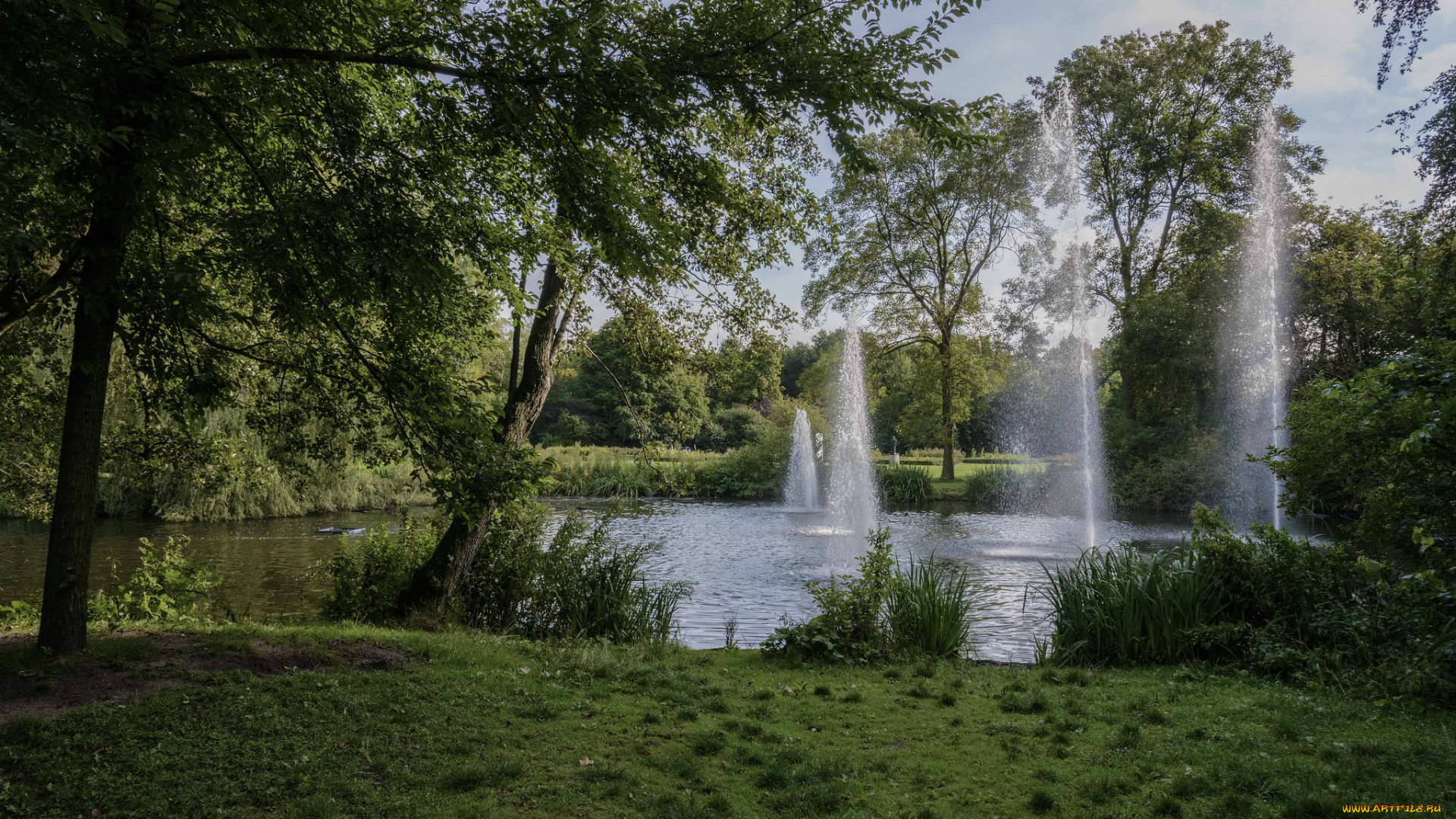 природа, парк, река, лес