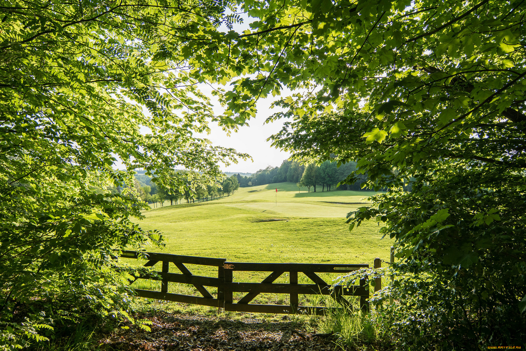природа, пейзажи, простор