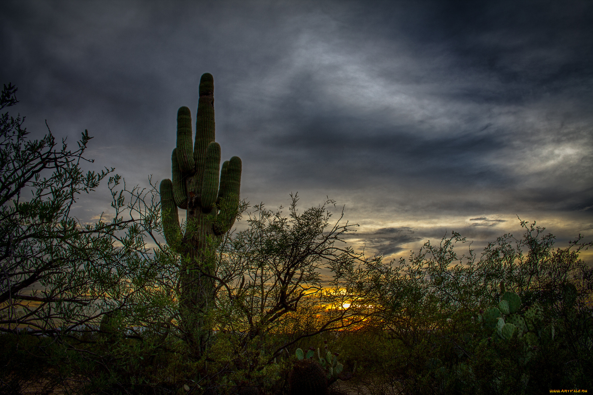 природа, пейзажи, сумерки