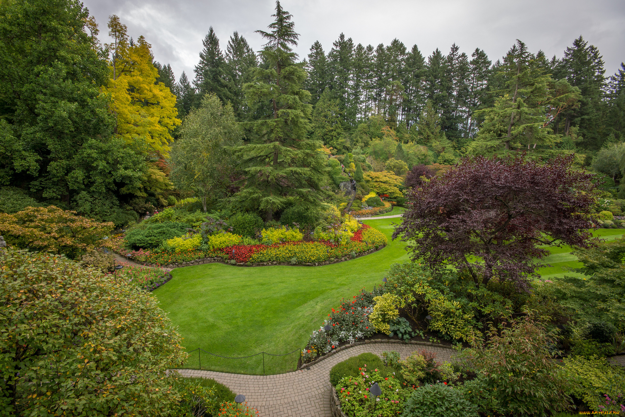 природа, парк, деревья, дорожка