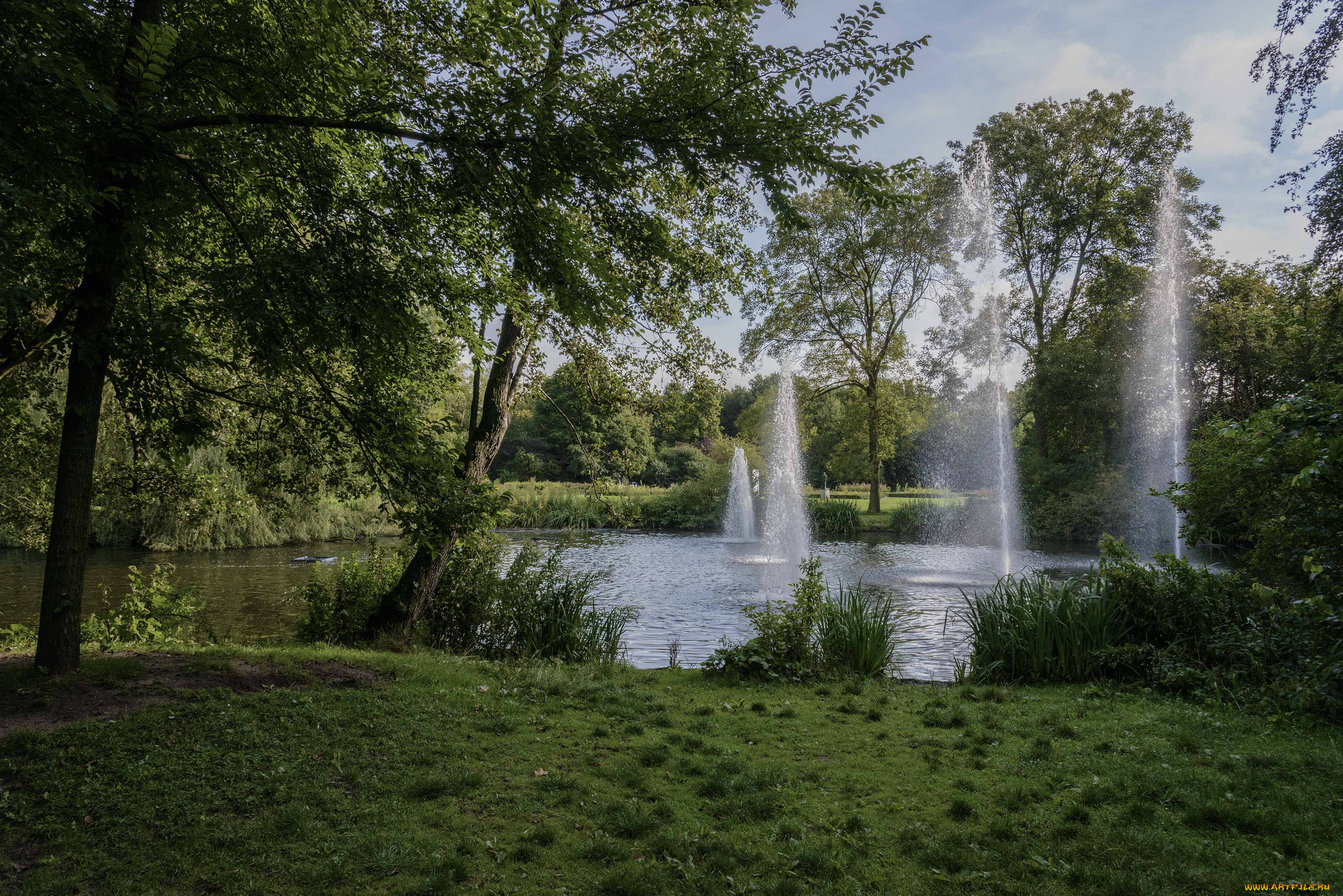 природа, парк, река, лес