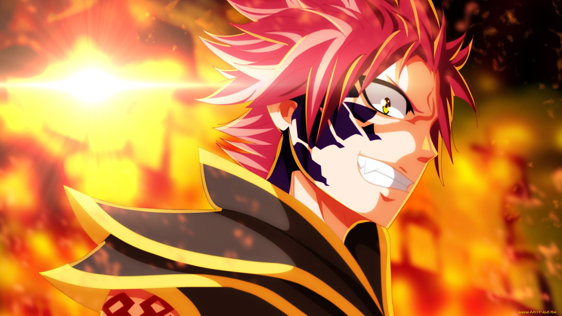 аниме, fairy, tail, хвост, феи