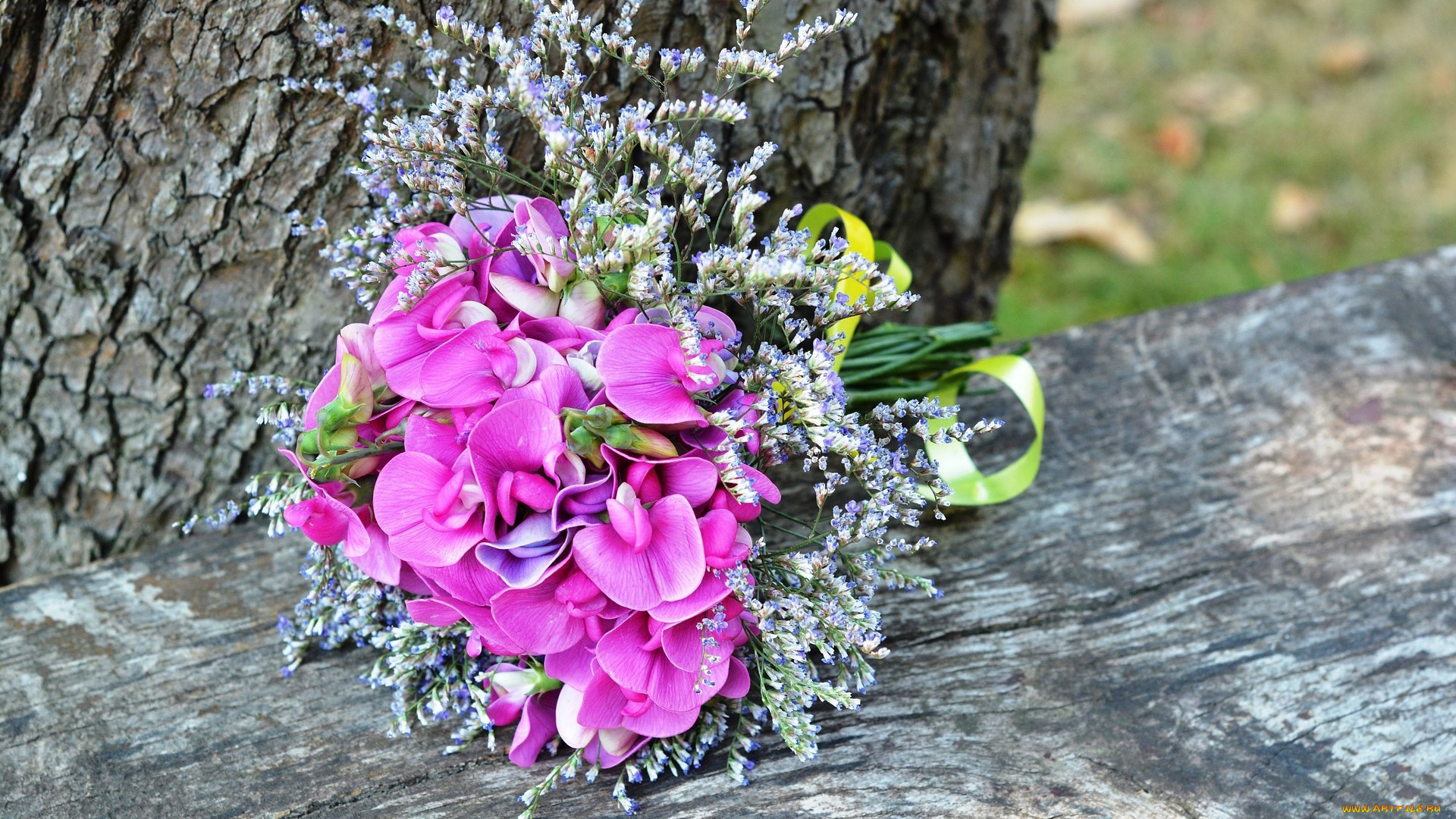 цветы, букеты, , композиции, душистый, горошек