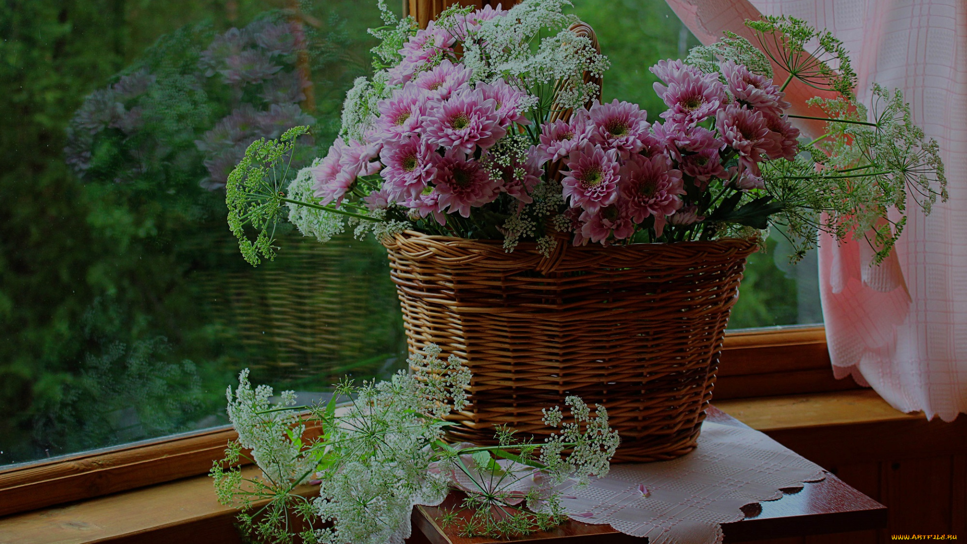 цветы, хризантемы, букет, корзина, сныть, натюрморт