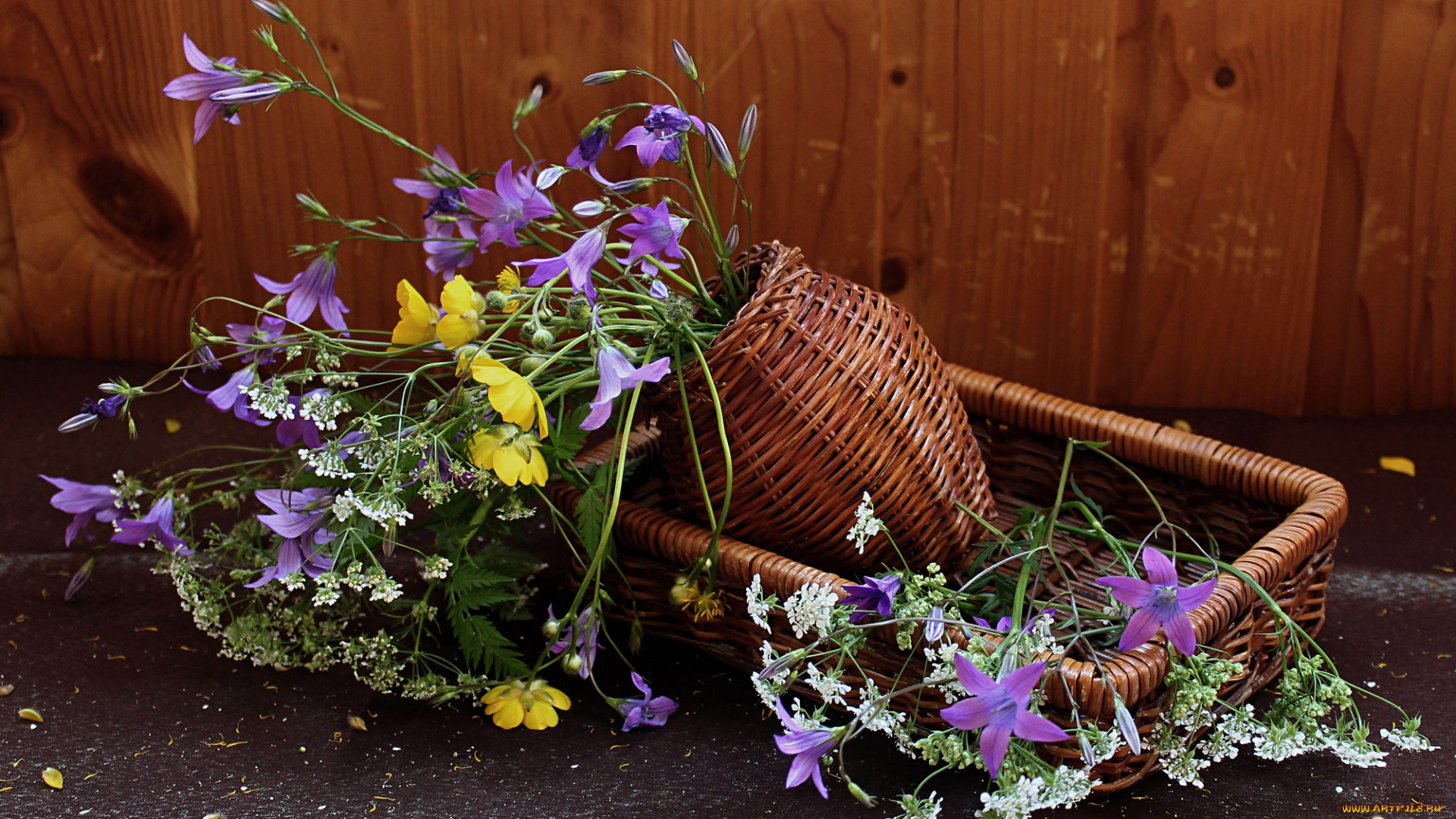 цветы, луговые, , полевые, , цветы, натюрморт, лютики, сныть, растения, колокольчики
