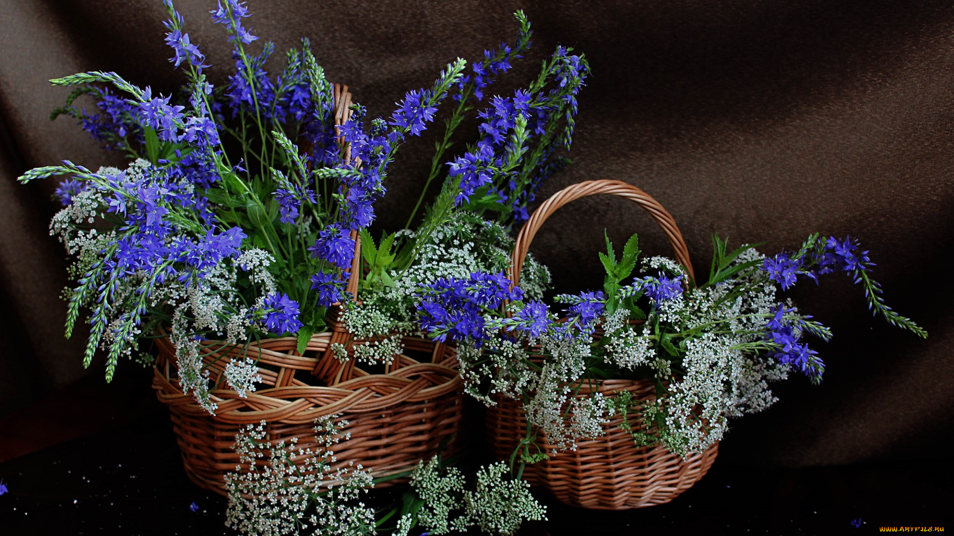цветы, луговые, , полевые, , цветы, сныть, лето, натюрморт, корзина, вероника, длиннолистная