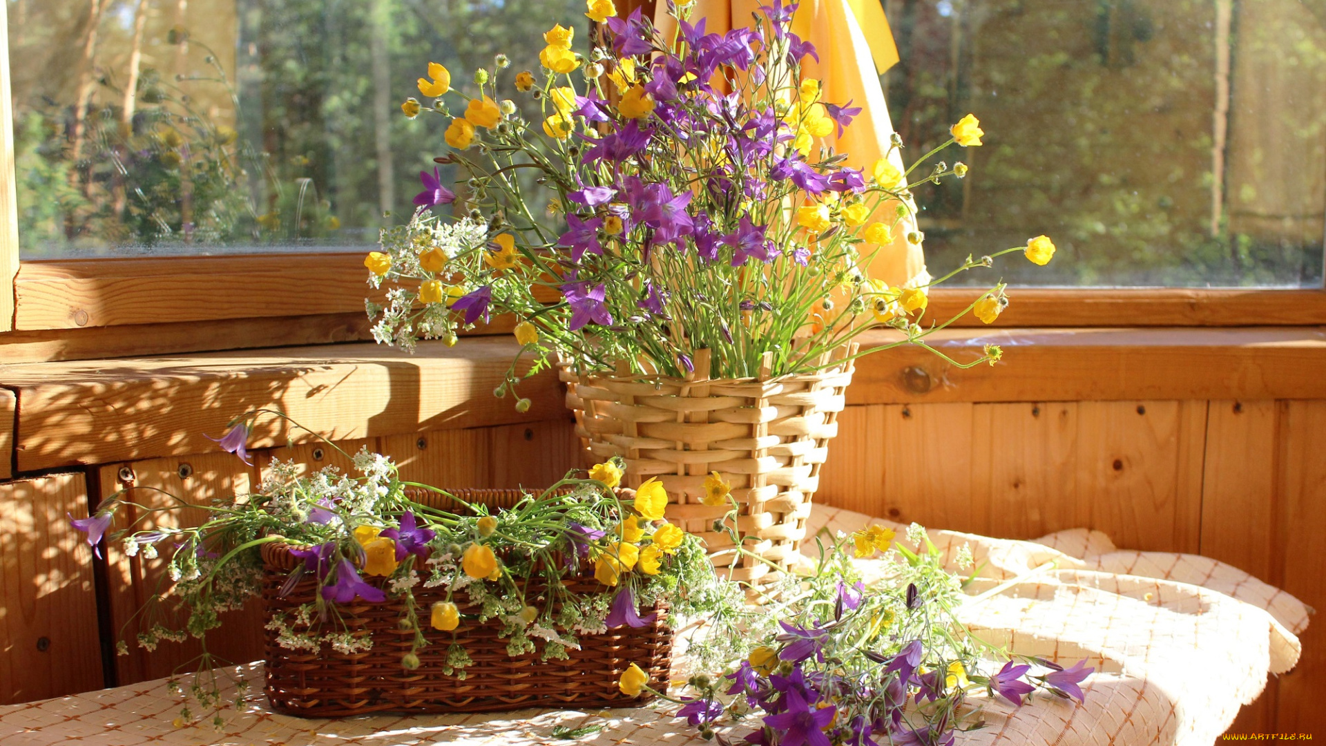 цветы, луговые, , полевые, , цветы, сныть, натюрморт, лютики, лето, колокольчики