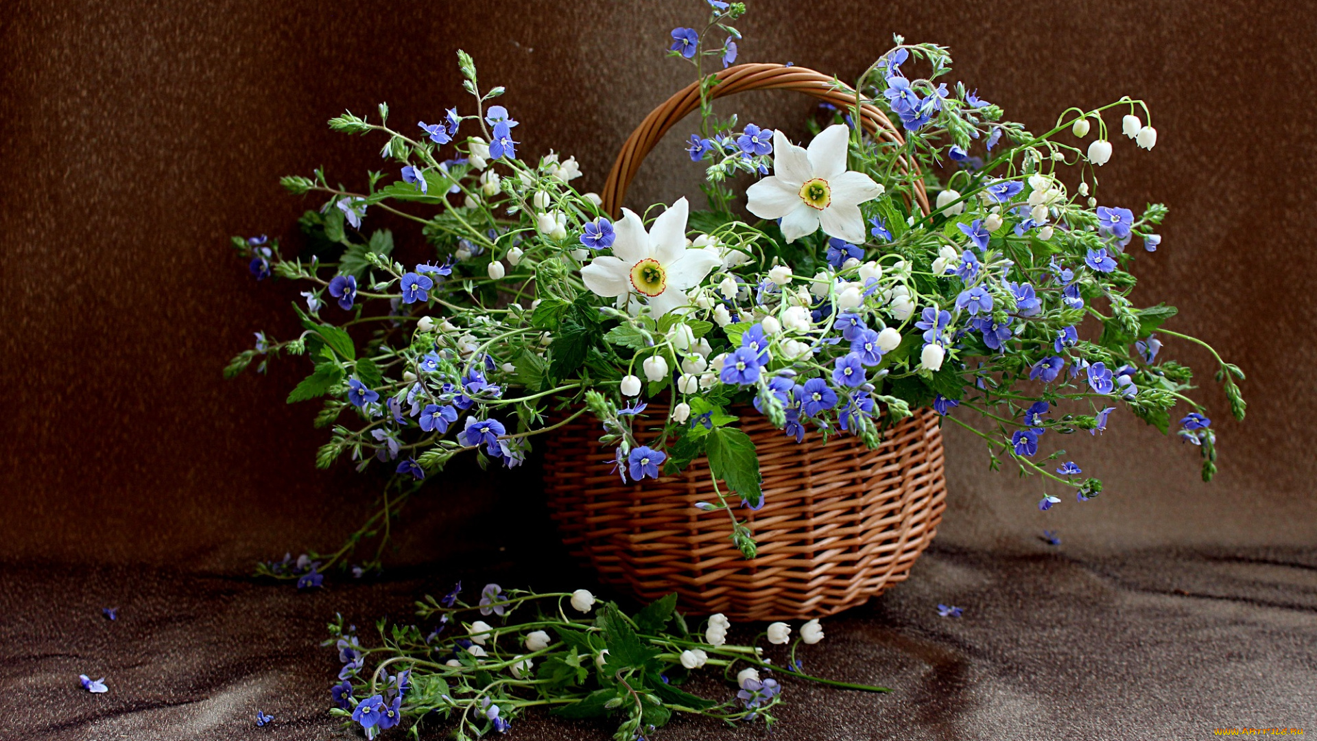 цветы, разные, вместе, букет, вероника, весна, ландыши, нарциссы, натюрморт, полевые