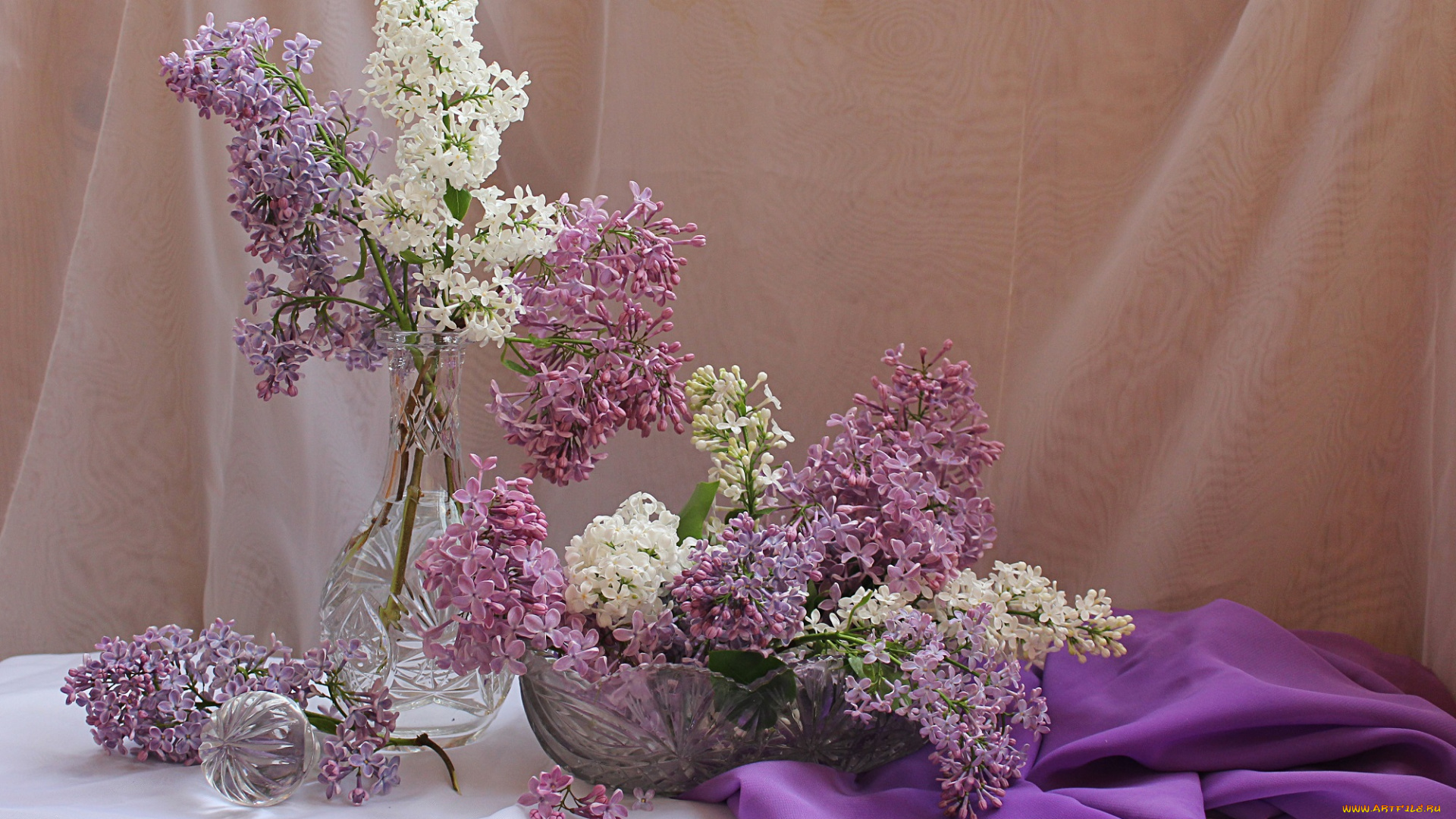 цветы, сирень, весна, натюрморт