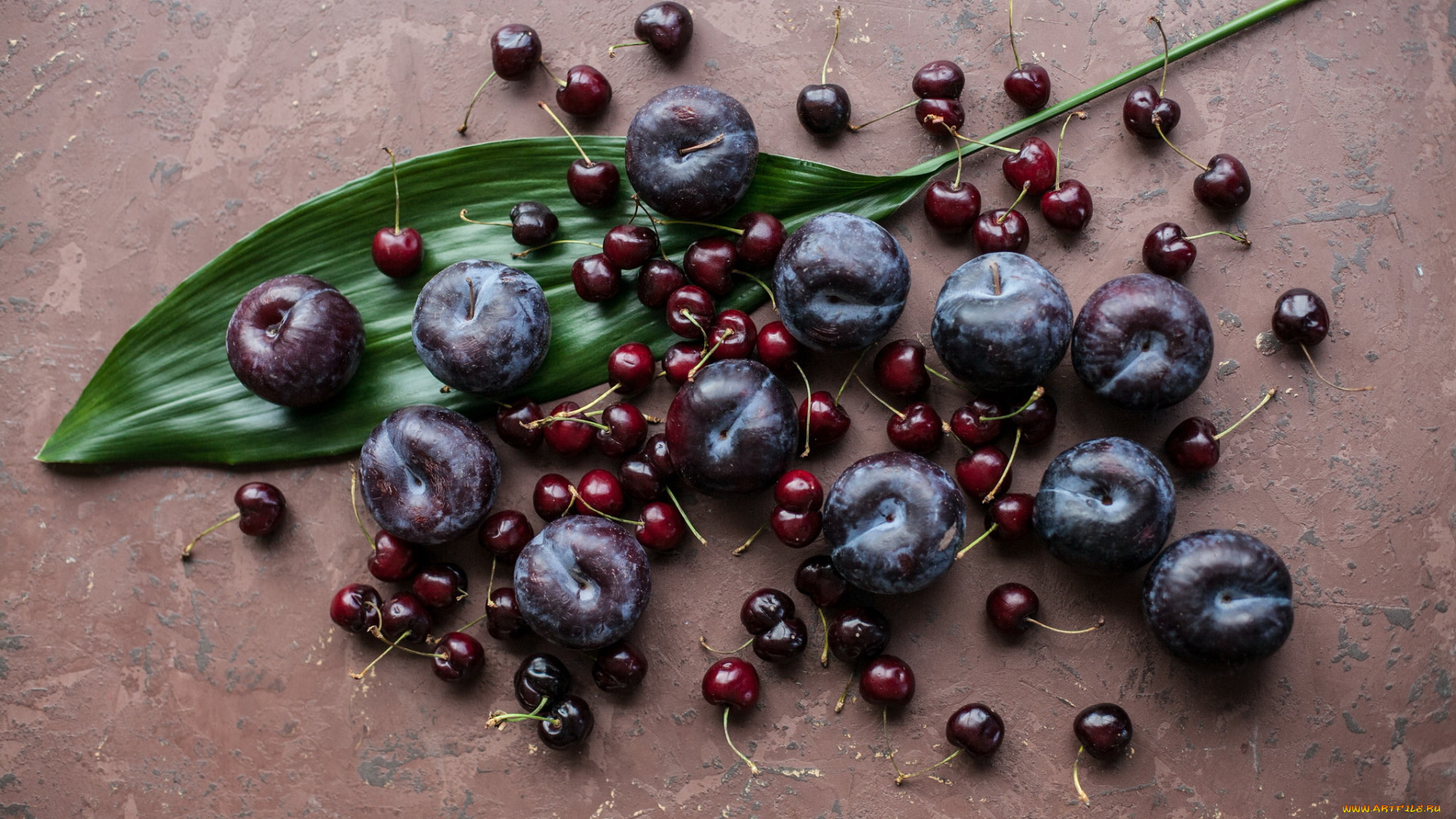 еда, фрукты, , ягоды, слива, вишня, ягоды, лист