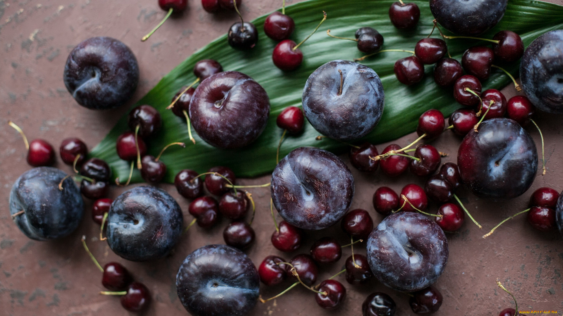 еда, фрукты, , ягоды, слива, вишня, ягоды, лист