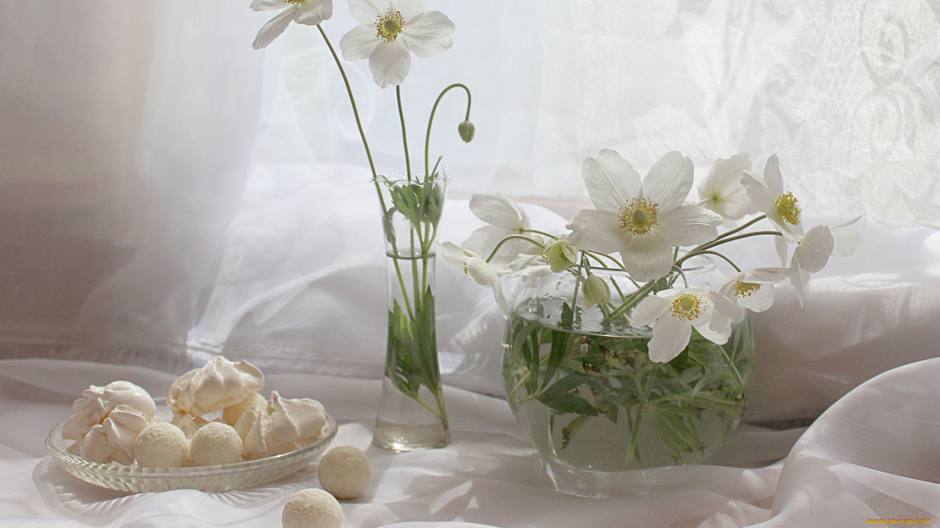 еда, конфеты, , шоколад, , сладости, натюрморт, анемоны, цветы, сладости, растения