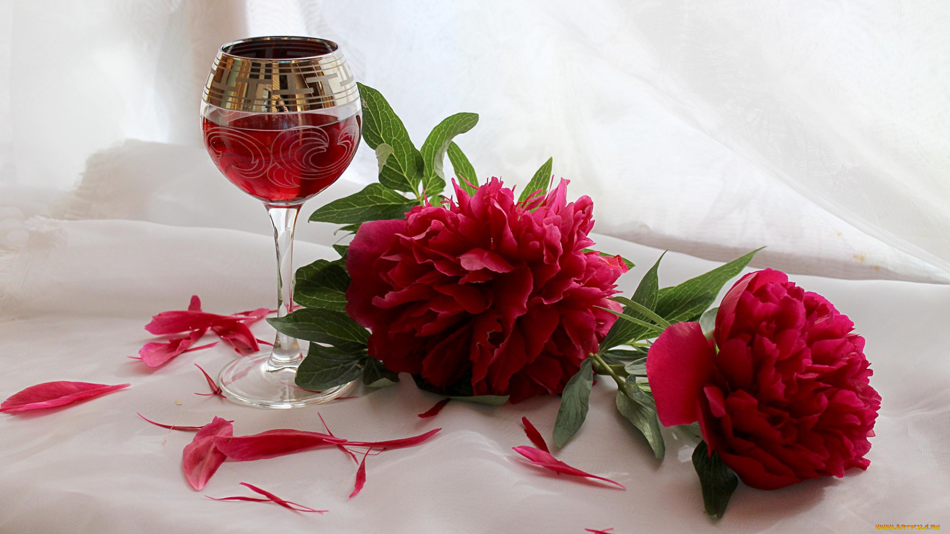 еда, напитки, цветы, растения, пионы, натюрморт, лето