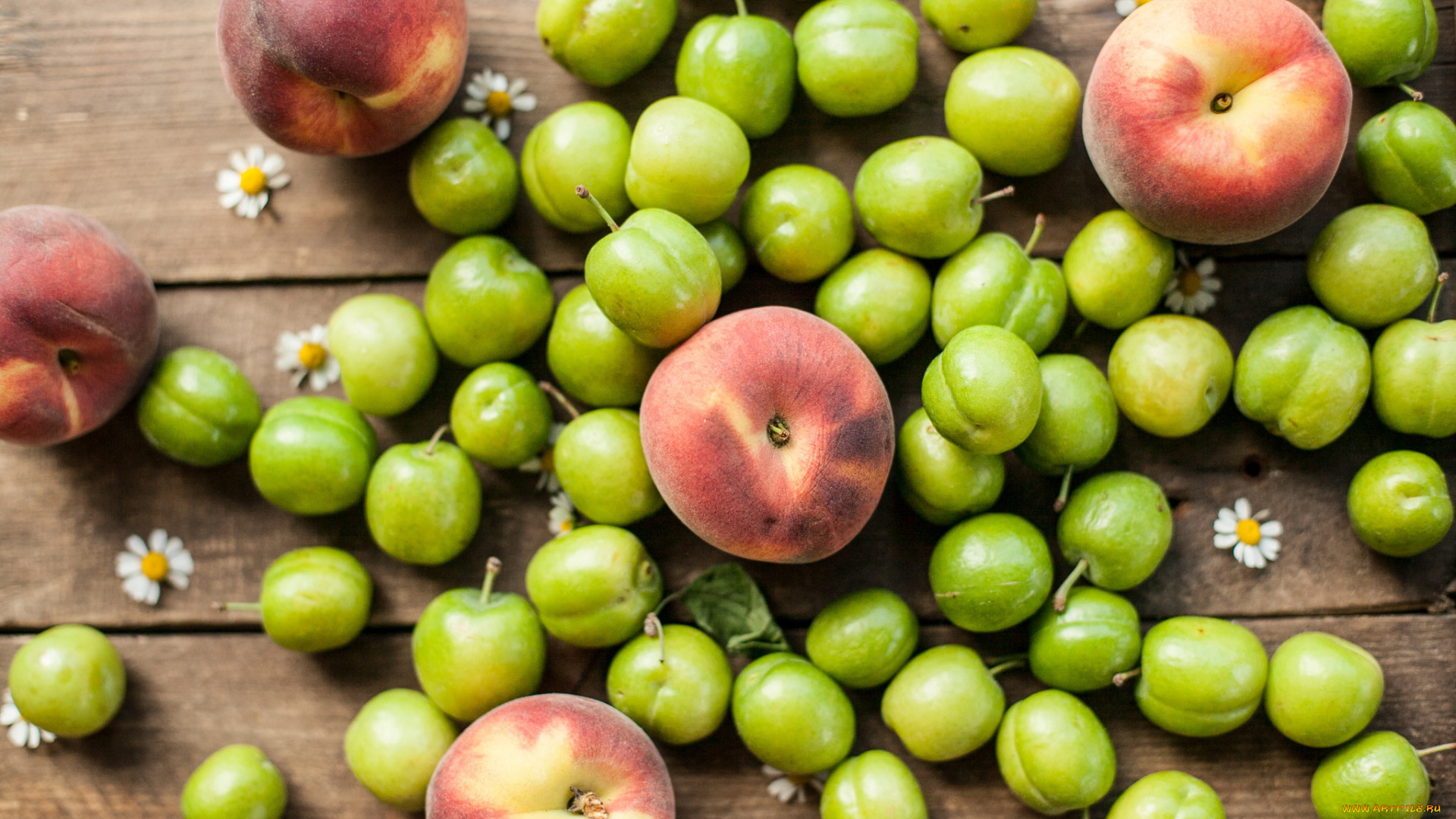 еда, персики, , сливы, , абрикосы, слива, персик, фрукты