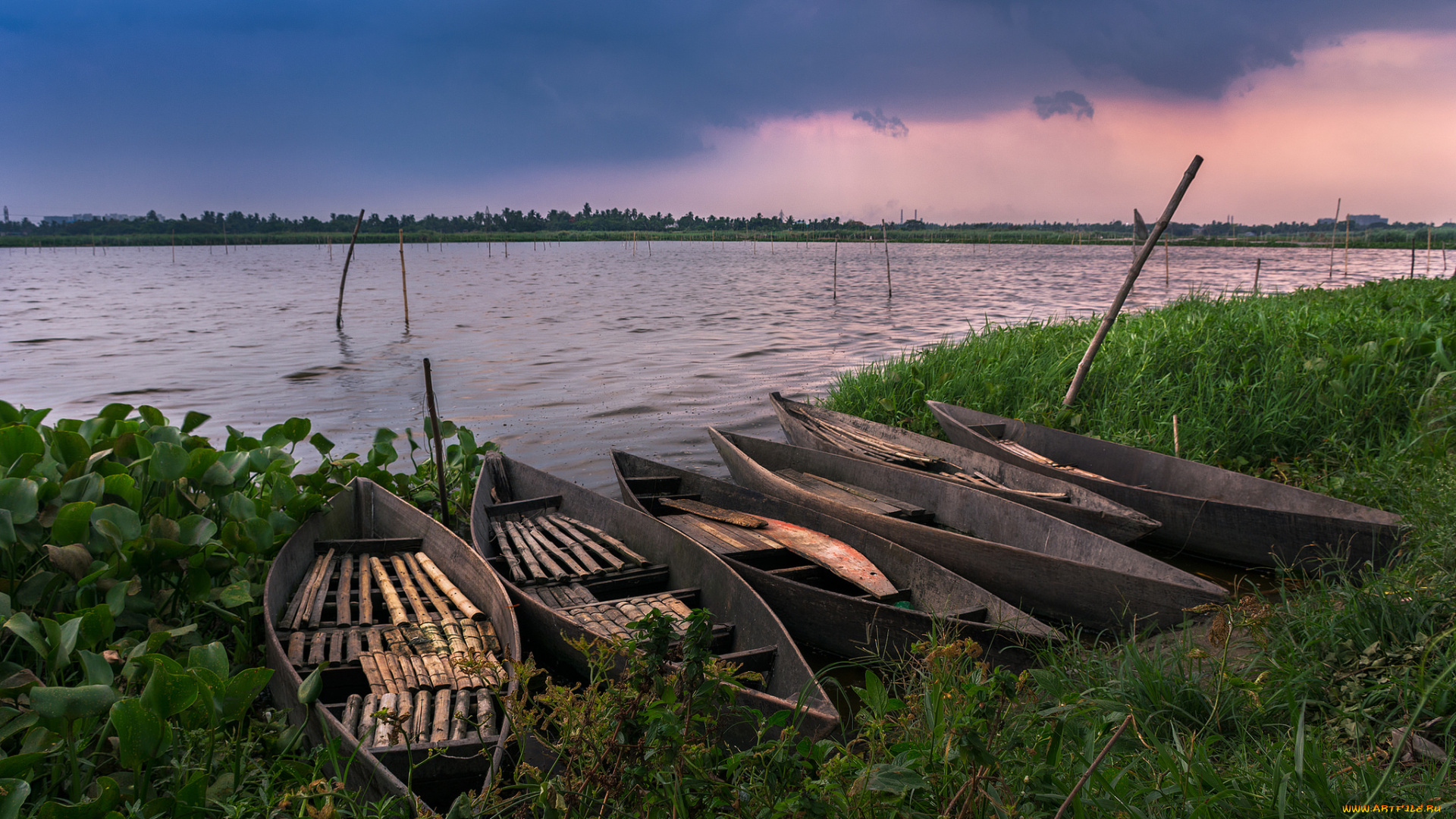 корабли, лодки, , шлюпки, река, лес