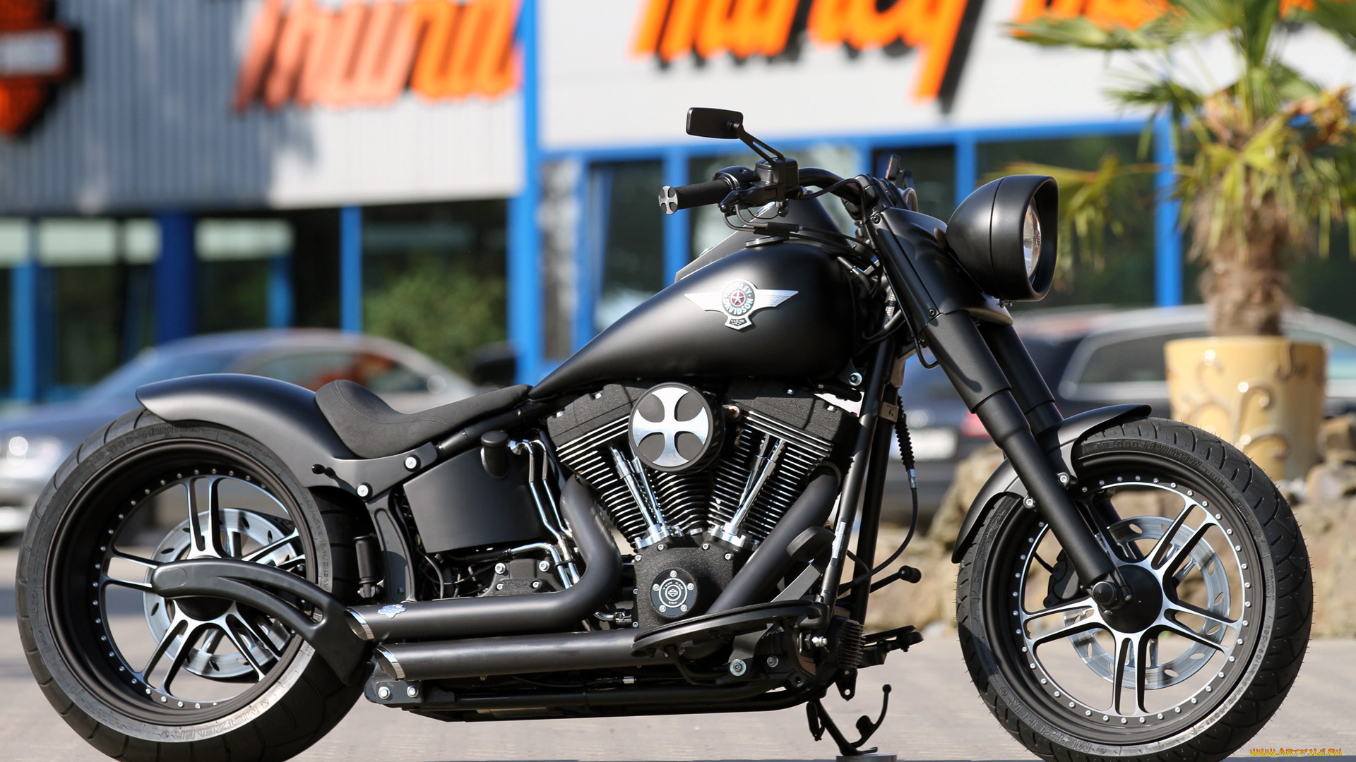 мотоциклы, customs, custom