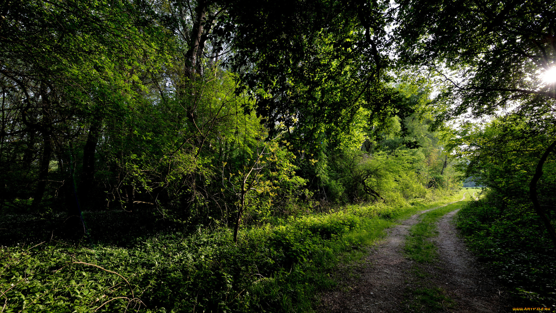 природа, дороги, тракт