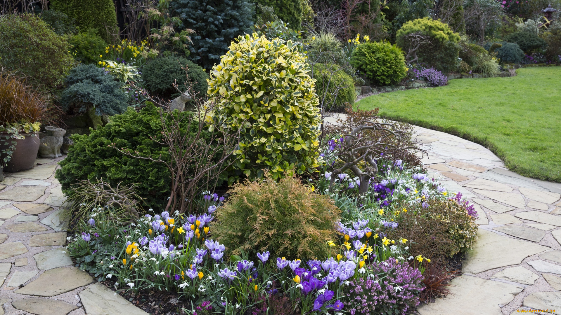 природа, парк, цветы, кустарники, газон