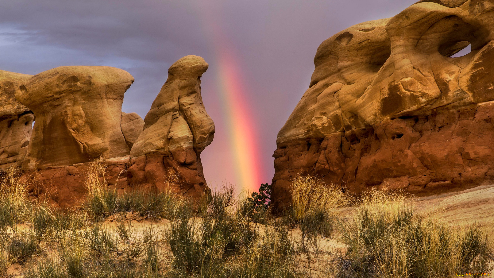 природа, радуга, скалы