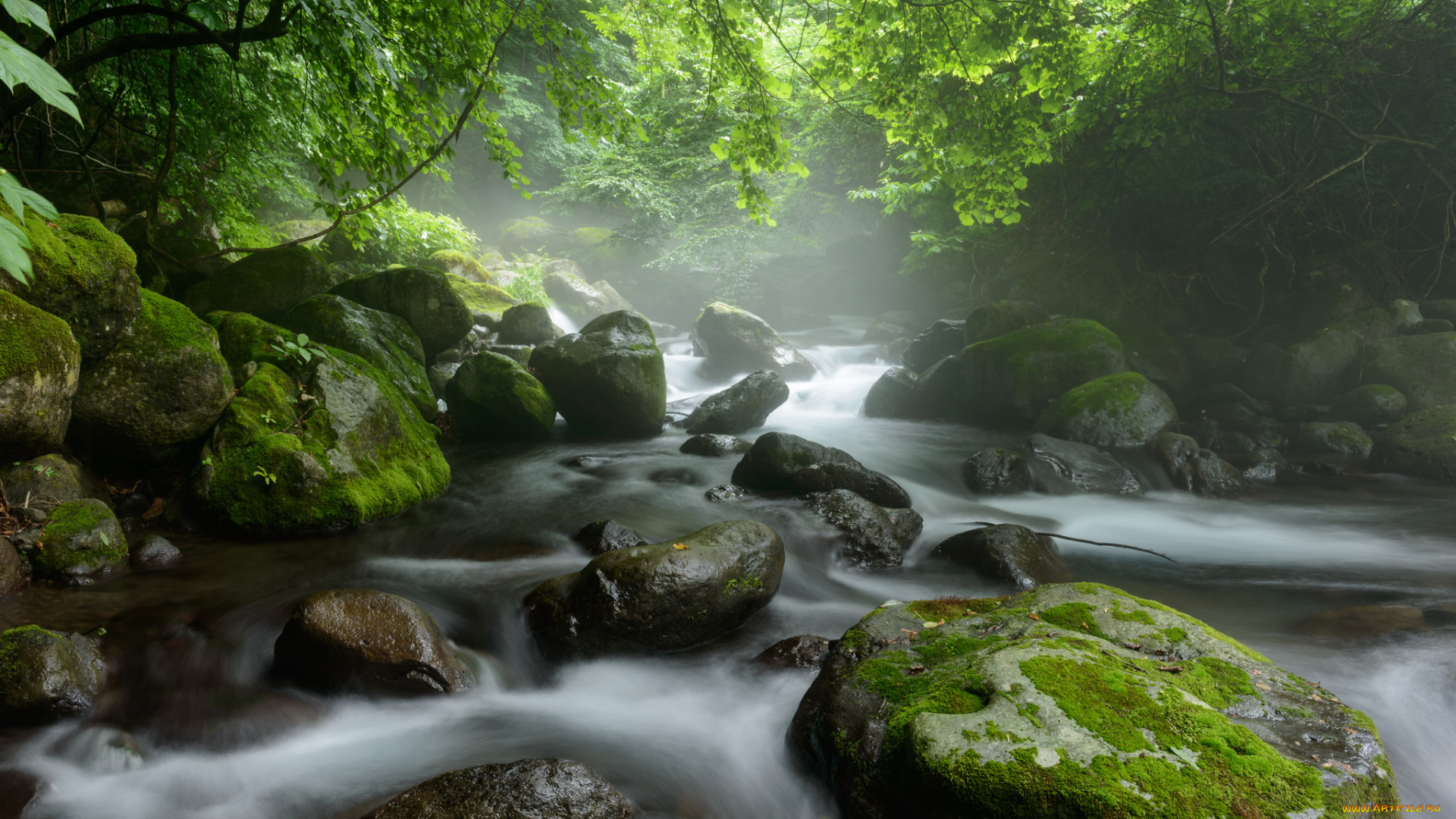 природа, реки, озера, деревья, лес, поток, вода, река