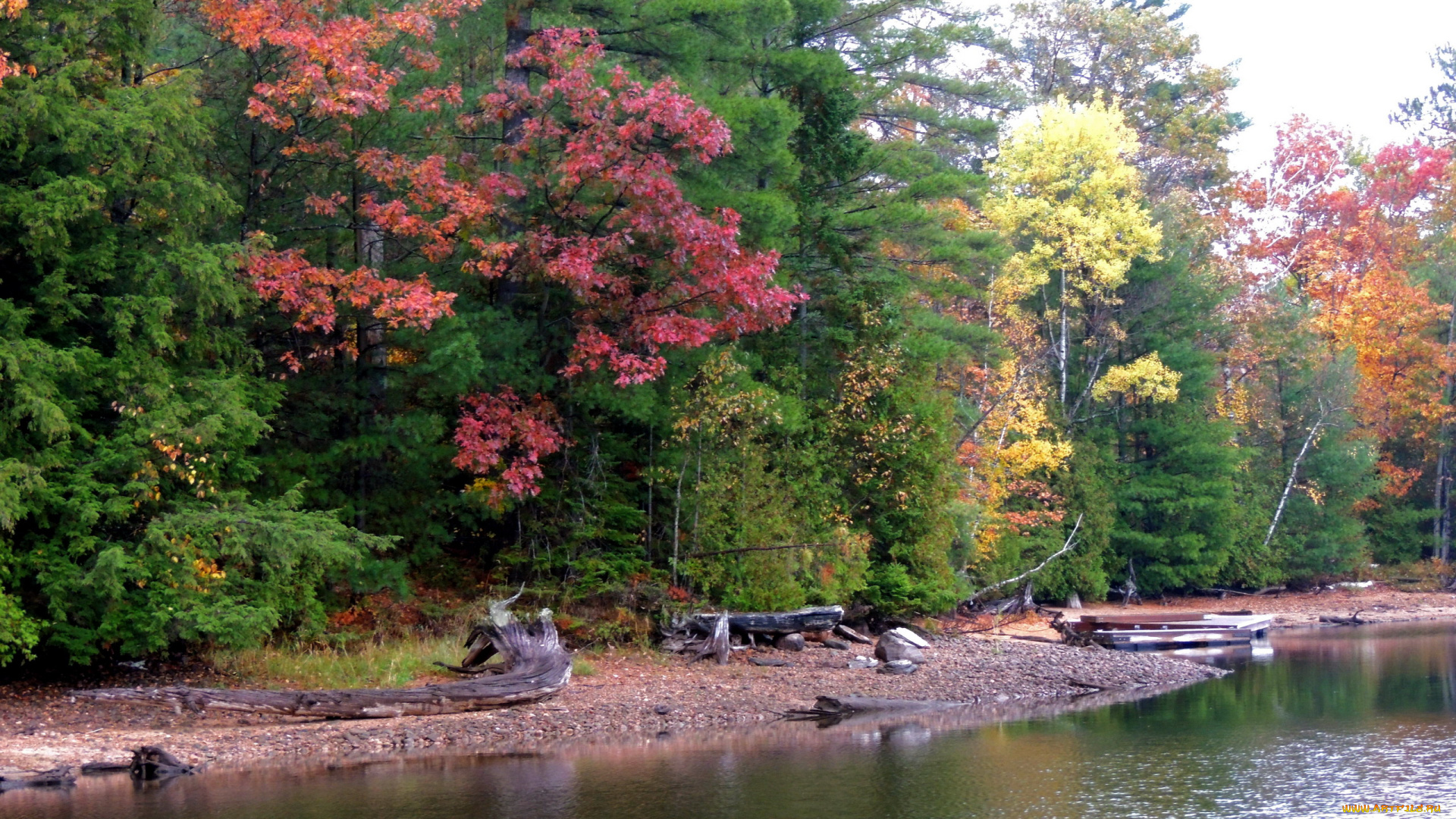 природа, реки, озера, деревья, осень, река, вода