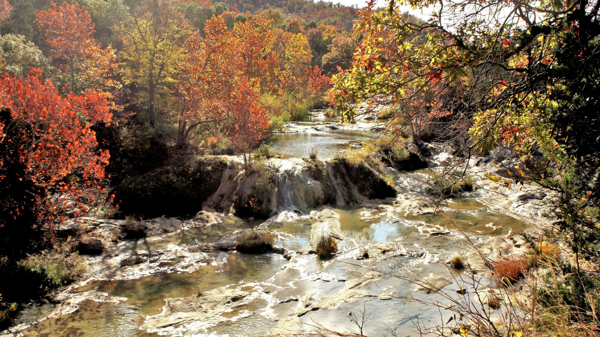 природа, реки, озера, осень, река, вода