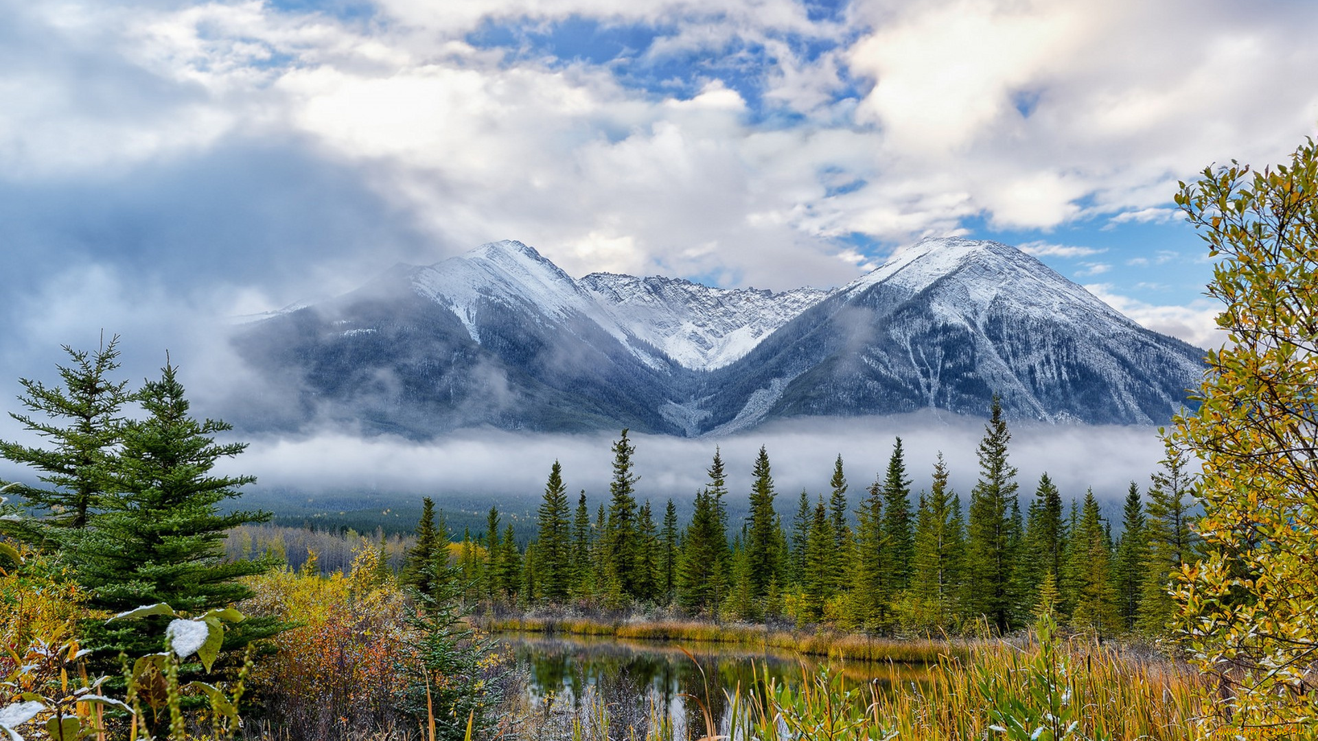 природа, реки, озера, простор