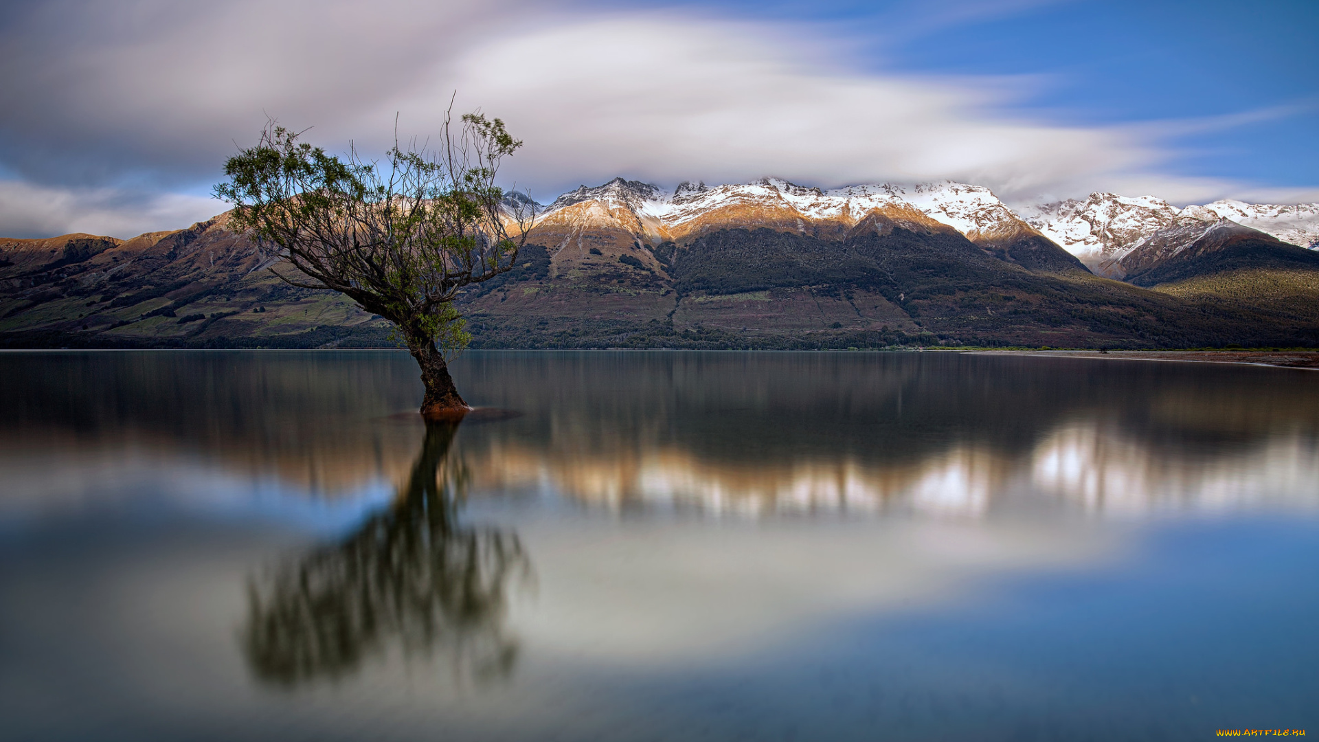 природа, реки, озера, река, лес